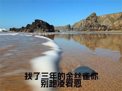 （热推新书）找了三年的金丝雀你别跑凌宥恩全文免费阅读无弹窗大结局-热推宋雨慈凌宥恩无弹窗阅读找了三年的金丝雀你别跑凌宥恩在线阅读
