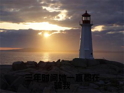 三年时间她一直都在骗我（林爱椁严昊宇）全文免费阅读-（林爱椁严昊宇无弹窗阅读）最新章节小说免费阅读