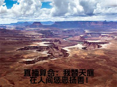 直播算命：我替天庭在人间惩恶扬善！小说全文免费阅读无弹窗大结局_（直播算命：我替天庭在人间惩恶扬善！）孙小圣最新章节列表笔趣阁
