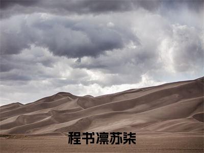 程书凛苏柒（程书凛苏柒）免费阅读无弹窗大结局_程书凛苏柒小说（程书凛苏柒）免费阅读最新章节列表