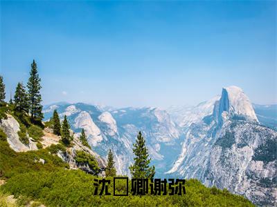 沈爅卿谢弥（沈爅卿谢弥）全文免费大结局小说-沈爅卿谢弥全文最新章节阅读