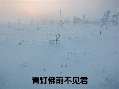 叶晚意沈玄烨免费阅读无弹窗大结局,青灯佛前不见君(最新全章节)全文阅读免费阅读-笔趣阁