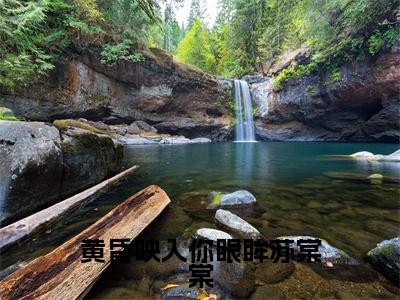 黄昏映入你眼眸苏棠棠（苏棠棠）全文小说-黄昏映入你眼眸苏棠棠小说最新章节免费阅读（免费）+（全文）