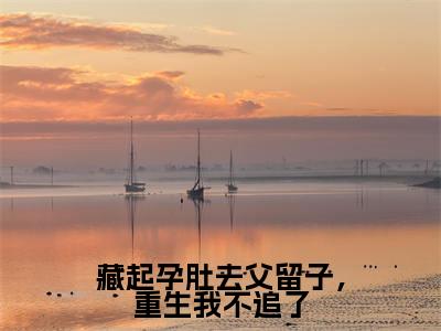 藏起孕肚去父留子，重生我不追了全文免费阅读无弹窗，谢珩阿商小说最新章节列表无删减_笔趣阁