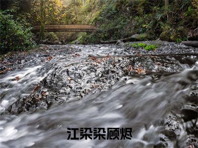 顾烬江染染(江染染顾烬)全网首发小说-小说江染染顾烬(顾烬江染染)完整版全文在线赏析