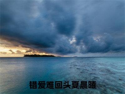 错爱难回头夏晨曦（江盛夏晨曦）小说全文免费阅读无弹窗_（江盛夏晨曦全文阅读）错爱难回头夏晨曦免费阅读大结局