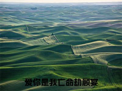 顾宴(爱你是我亡命劫顾宴)全文免费阅读无弹窗大结局_爱你是我亡命劫顾宴完整版小说阅读(顾宴)