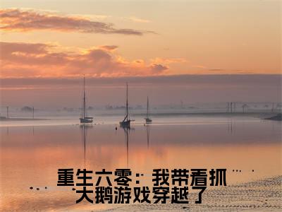 重生六零：我带着抓大鹅游戏穿越了全文免费阅读无弹窗（小说全文免费阅读）唐晓初最新章节列表