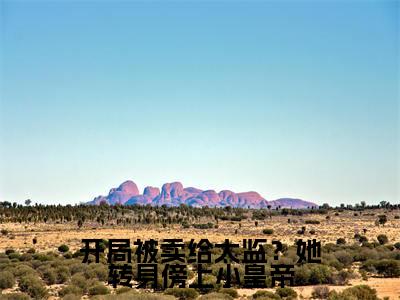 洛舒宁小说免费阅读无弹窗大结局,开局被卖给太监?她转身傍上小皇帝最新章节列表