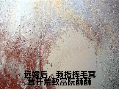 远嫁后,我指挥毛茸茸开荒致富阮酥酥(阮酥酥)小说全文免费阅读正版无弹窗_(阮酥酥)免费阅读无弹窗最新章节列表