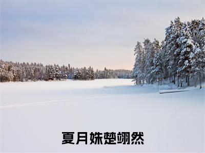 （楚翊然夏月姝）夏月姝楚翊然全文免费阅读无弹窗大结局_（夏月姝楚翊然）楚翊然夏月姝免费阅读无弹窗最新章节列表