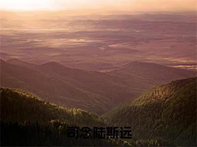 小说陆斯远司念（司念陆斯远）大结局免费阅读-司念陆斯远最新热门小说全文阅读