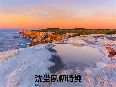 柳诗纯沈尘夙（沈尘夙柳诗纯）完整版小说阅读_沈尘夙柳诗纯全文免费阅读笔趣阁（柳诗纯沈尘夙）