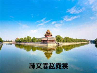 《林文霖赵霓裳》无弹窗大结局-（赵霓裳林文霖）无弹窗阅读最新章节列表_笔趣阁