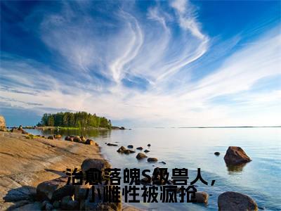 治愈落魄S级兽人,小雌性被疯抢(陆筱)全文免费阅读无弹窗大结局_陆筱最新章节列表