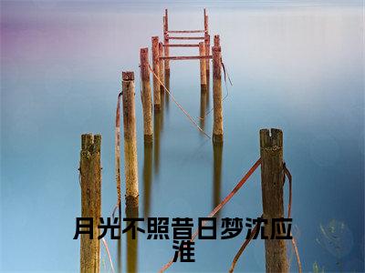 沈应淮岑青妤全文推荐阅读,月光不照昔日梦沈应淮热门榜单免费新书阅读