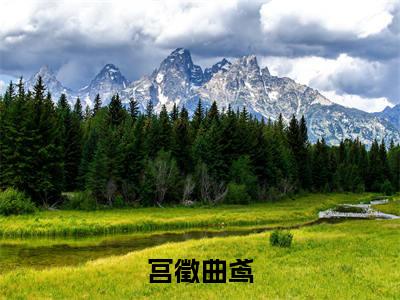 宫徵曲鸢全本资源免费阅读结局无删节主角:曲鸢宫徵小说全文阅读无弹窗