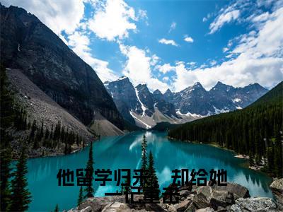他留学归来，却给她一记重击（程向晚江云舟）全文免费完结版阅读_（程向晚江云舟）他留学归来，却给她一记重击最新章节列表笔趣阁