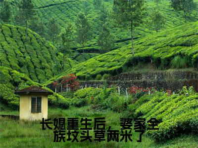 谢见微傅平野(长媳重生后,婆家全族坟头草两米了)全文在线阅读无弹窗大结局_(谢见微傅平野在线阅读)最新章节列表_笔趣阁