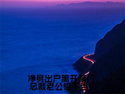 抖音高赞小说净身出户离开豪门,总裁老公悔不当初在线阅读萧逸新上现代言情小说推荐