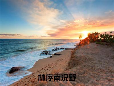 林序南况野（况野林序南）全文小说-况野林序南小说最新章节免费阅读