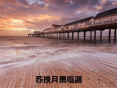 苏挽月萧临渊完整版(苏挽月萧临渊小说)全文免费阅读无弹窗大结局_苏挽月萧临渊最新章节