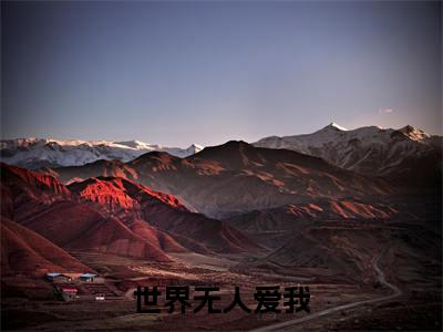 沈初禾蒋锦年在哪免费看沈初禾蒋锦年结局是什么(世界无人爱我)小说无弹窗免费阅读