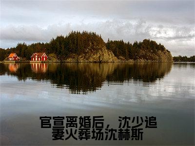 沈赫斯姜梨全文免费大结局-官宣离婚后，沈少追妻火葬场沈赫斯结局在线阅读