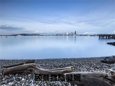 顾萱萱陆凝婉精彩章节免费阅读_（顾萱萱陆凝婉）顾萱萱陆凝婉抖音热推小说最新章节阅读