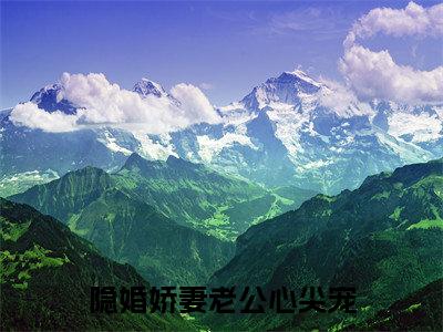 隐婚娇妻老公心尖宠（叶柠慕夜黎）全文小说-隐婚娇妻老公心尖宠小说最新章节免费阅读